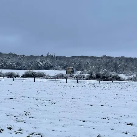 Domaine Des Bevy, Calme, Verdure Et Chevaux *